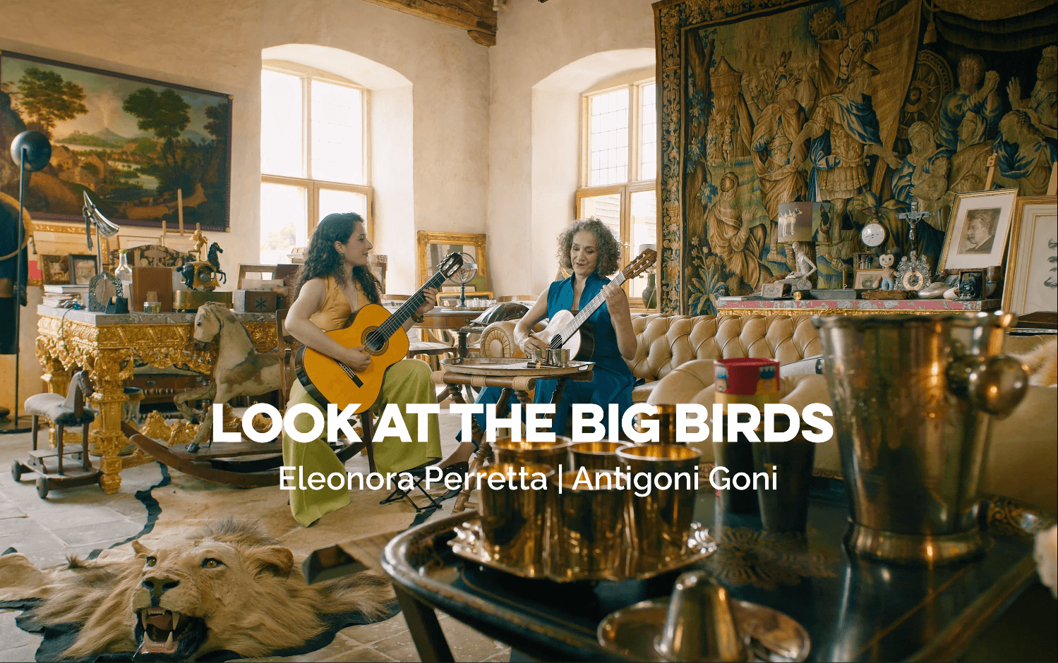 Look at the Big Birds